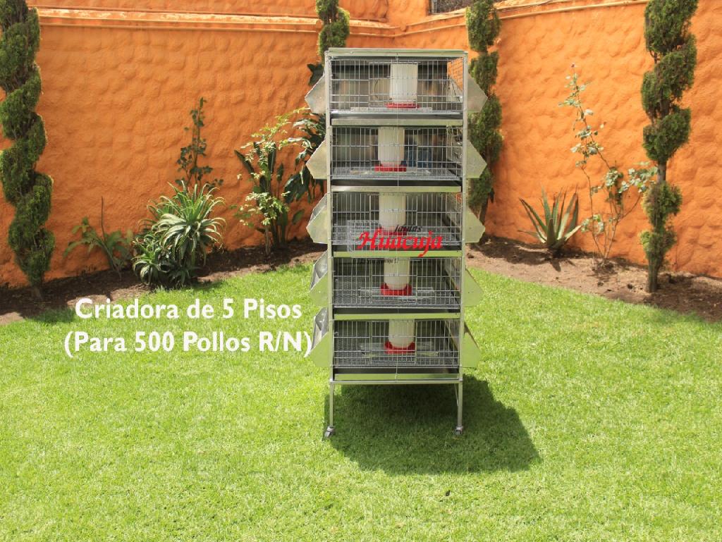 Criadora de 5 Pisos